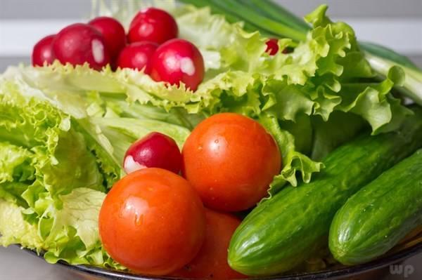 吃瓜搞笑小说番茄免费阅读,笑料百出，瓜田里的欢乐时光  第3张